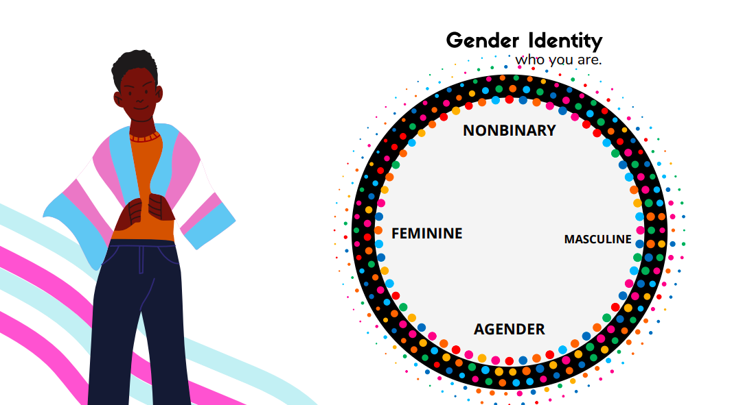 West Hartford elementary school hosts Gender 101, a training on gender ...