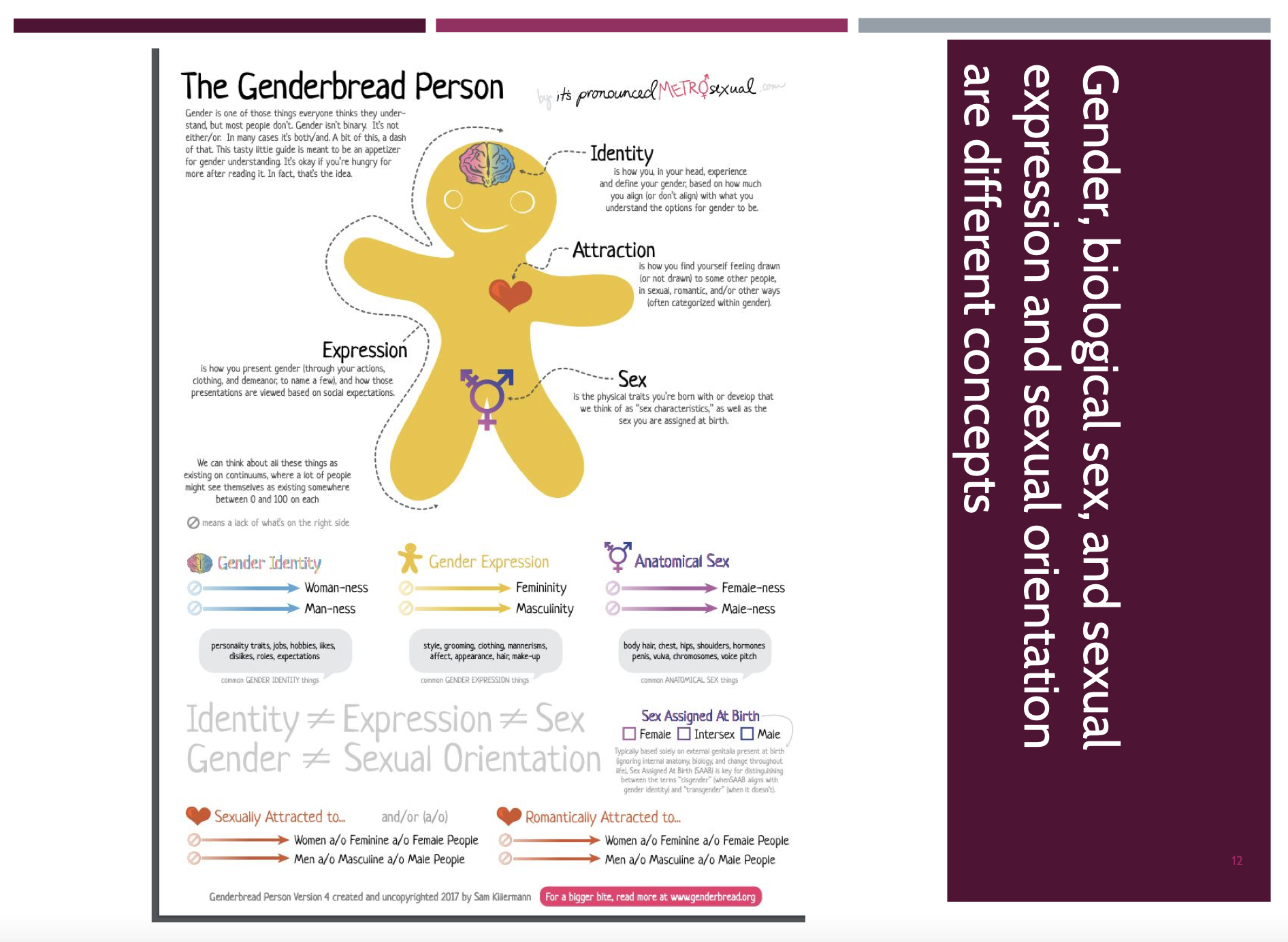 Michigan district uses #39 GenderBread Person #39 in health lessons Michigan district uses #39 GenderBread Person #39 in health lessons